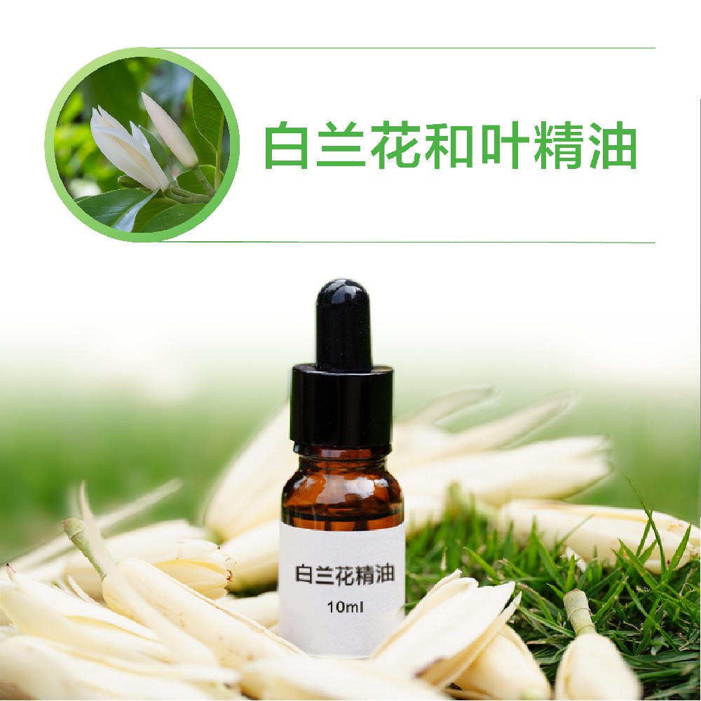 白蘭花和葉精油